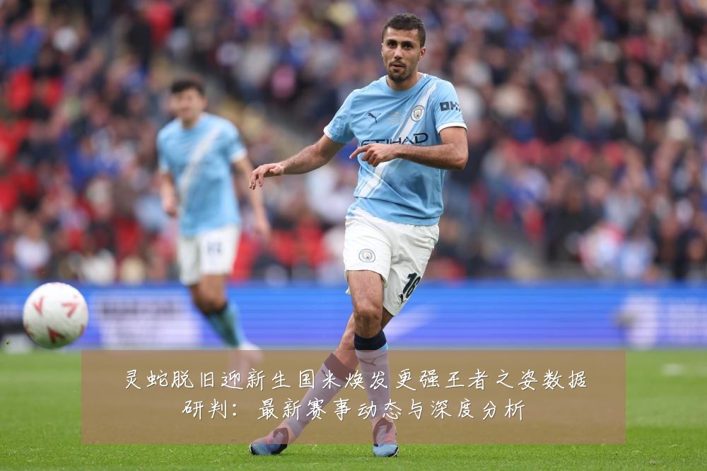 灵蛇脱旧迎新生国米焕发更强王者之姿数据研判：最新赛事动态与深度分析